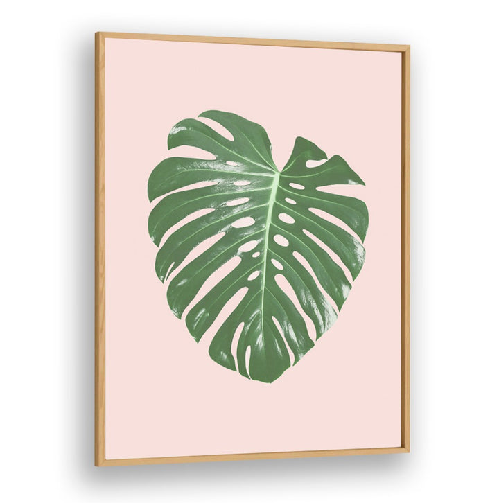 Elegant MONSTERA LEAF BLUSH floral painting on a soft pink background, perfect for home decor or office charm.