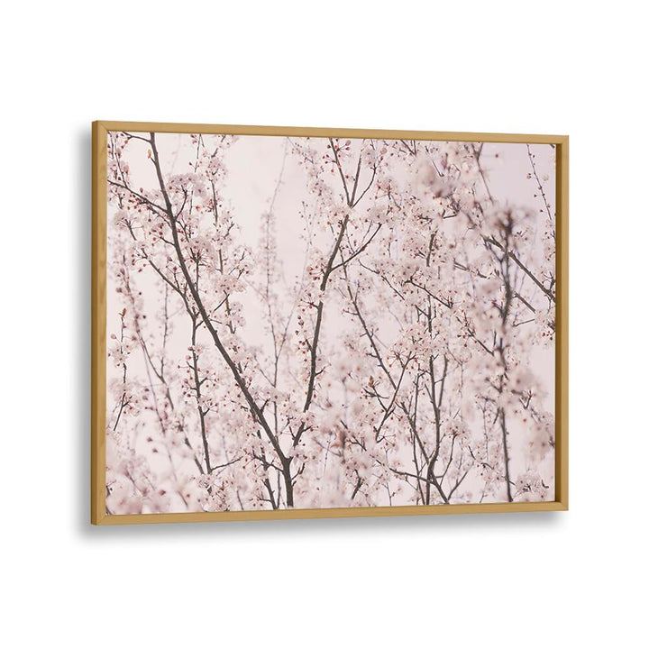 Delicate SPRING BLOSSOMS in a floral painting, perfect for adding a fresh touch to any space. Ideal for spring decor.