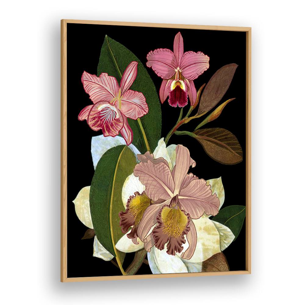 Elegant ORCHIDS II, FLORAL FLOWER PAINTINGS showcasing vibrant blooms, perfect for enhancing home decor and tranquility.