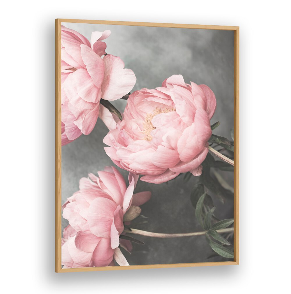ROSE II, FLORAL FLOWER PAINTINGS featuring stunning pink peonies, perfect for enhancing any space's elegance.