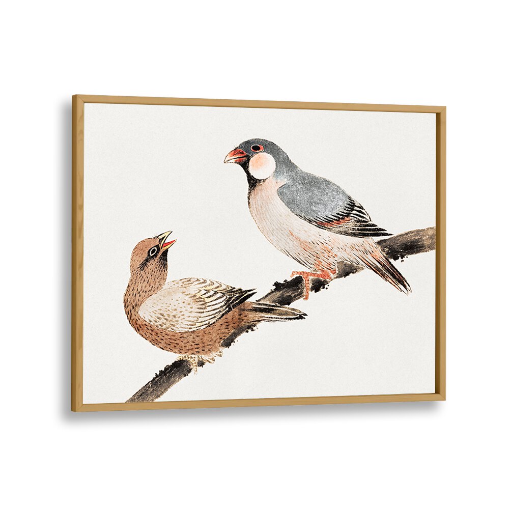 BIRDS FROM ALBUM OF SKETCHES (1814) , VINTAGE PAINTINGS