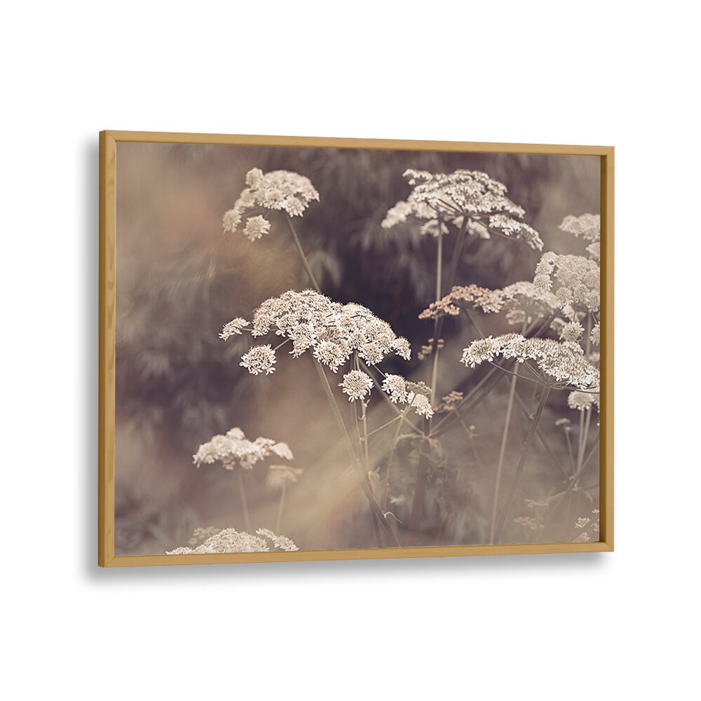 Vibrant WILD PARSLEY, FLORAL FLOWER PAINTINGS capturing nature's beauty for your home decor. Perfect for any space.
