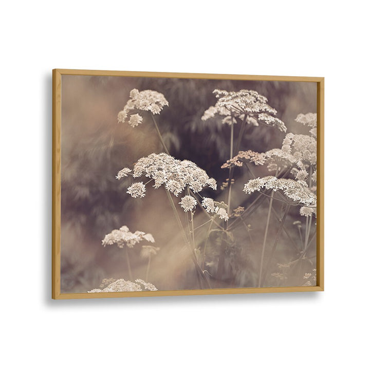 Vibrant WILD PARSLEY, FLORAL FLOWER PAINTINGS capturing nature's beauty for your home decor. Perfect for any space.