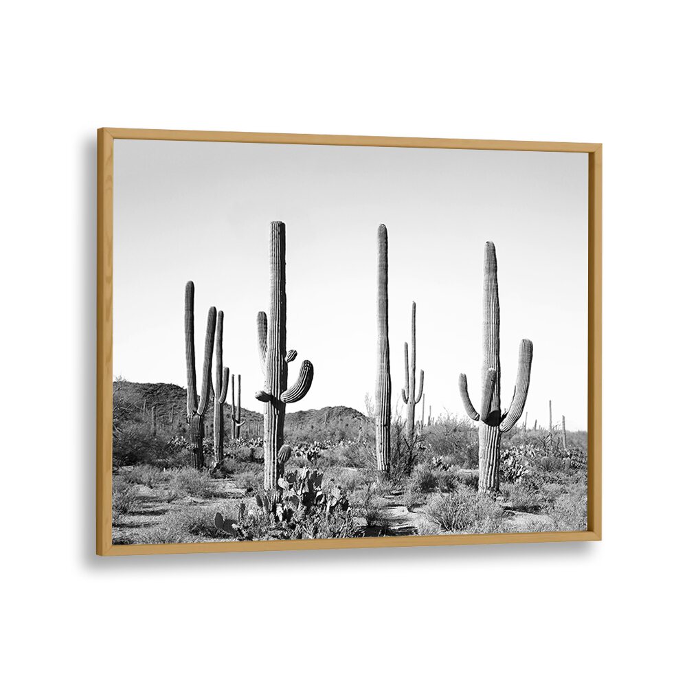 Stunning black and white art from GREY CACTUS LAND, COWBOY, showcasing desert cacti and modern decor aesthetics.