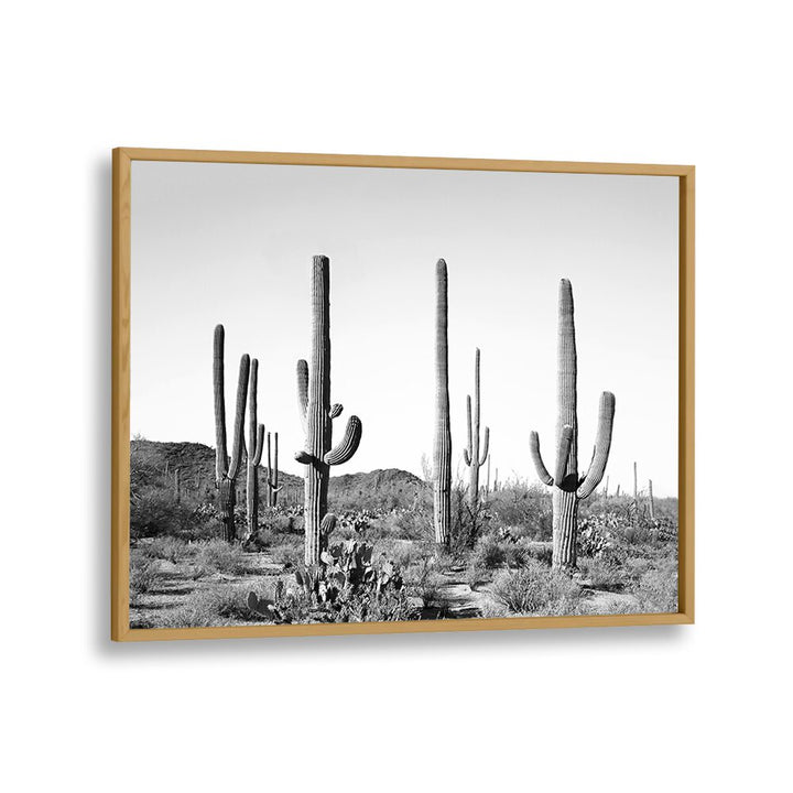 Stunning black and white art from GREY CACTUS LAND, COWBOY, showcasing desert cacti and modern decor aesthetics.