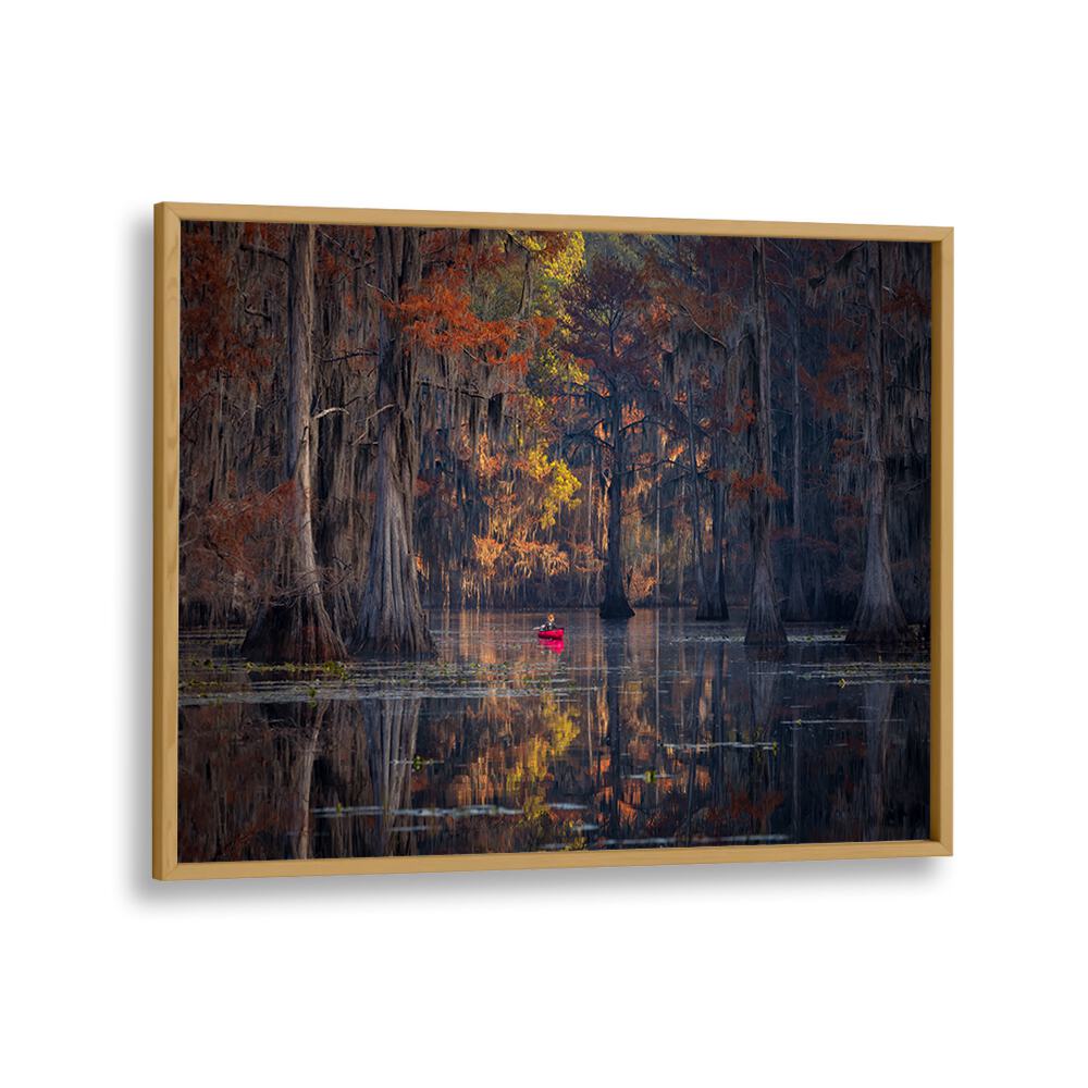 Serene reflection of cypress trees in CADDO LAKE 2023, PHOTOGRAPHY PRINTS showcasing nature's beauty.