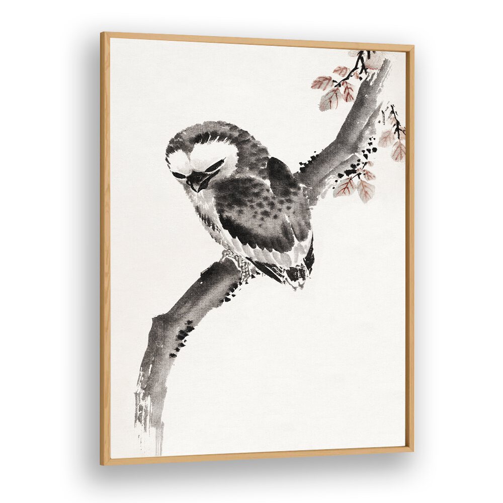 OWL ALBUM OF SKETCHES , VINTAGE PAINTINGS