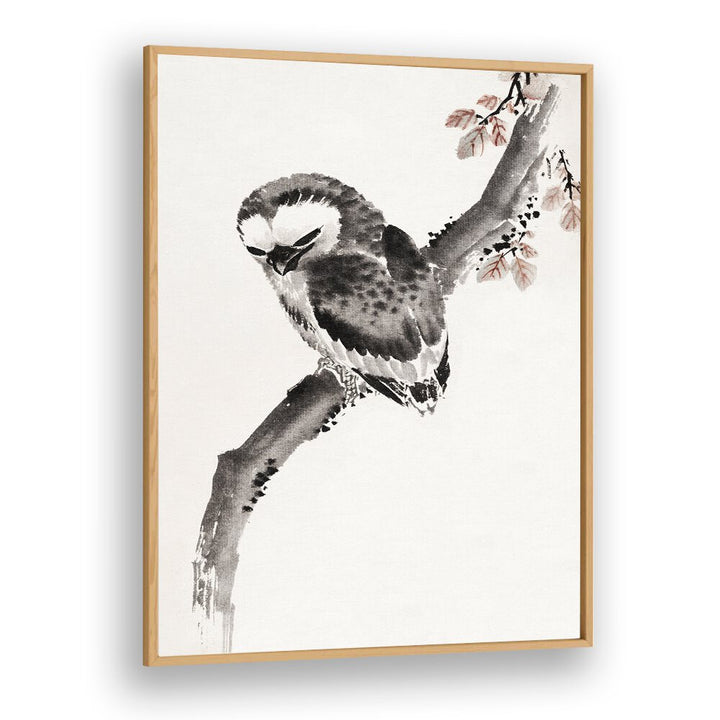 OWL ALBUM OF SKETCHES , VINTAGE PAINTINGS