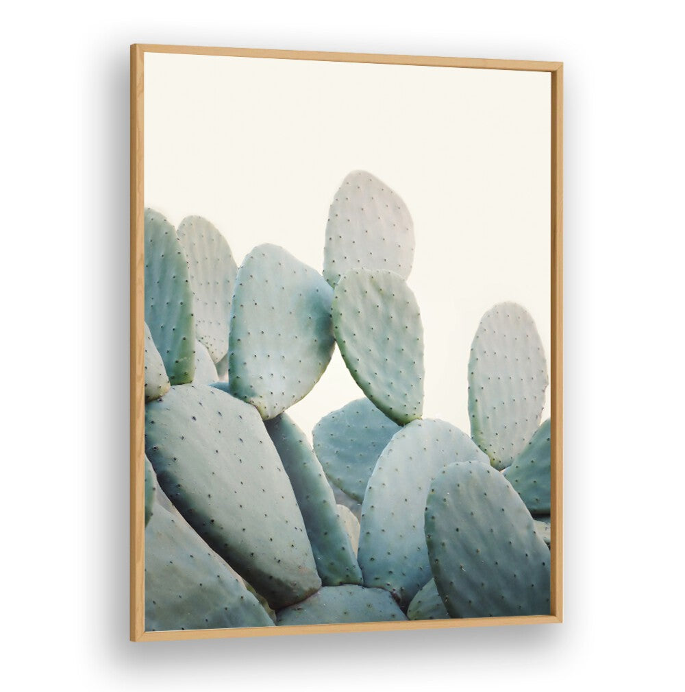 Stunning PASTEL CACTI, FLORAL FLOWER PAINTINGS enhance your space with vibrant desert charm and aesthetic appeal.