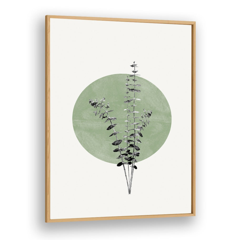 EUCALYPTUS AND GREEN MOON, FLORAL FLOWER PAINTINGS add a serene touch to any room with modern aesthetics.