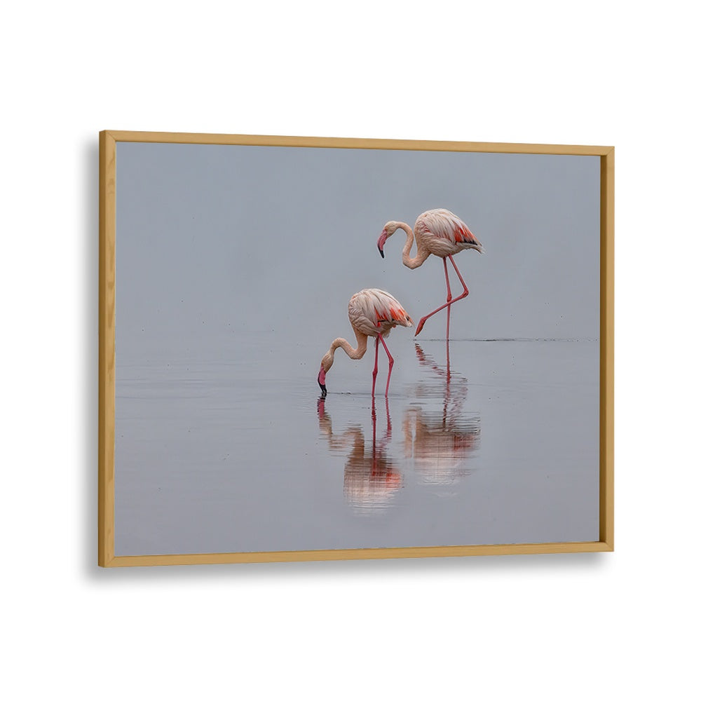 Graceful flamingos wading in calm water, perfect for your decor. Discover our FLAMINGOS, PHOTOGRAPHY PRINTS collection.