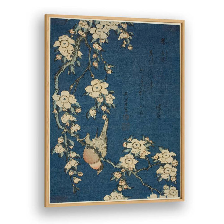 BULLFINCH AND WEEPING CHERRY BLOSSOMS , VINTAGE PAINTINGS