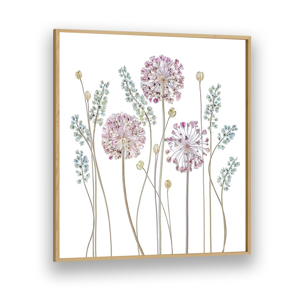 Elegant ALLIUM II, FLORAL FLOWER PAINTINGS enhance your décor with charm, featuring delicate floral designs in soft hues.