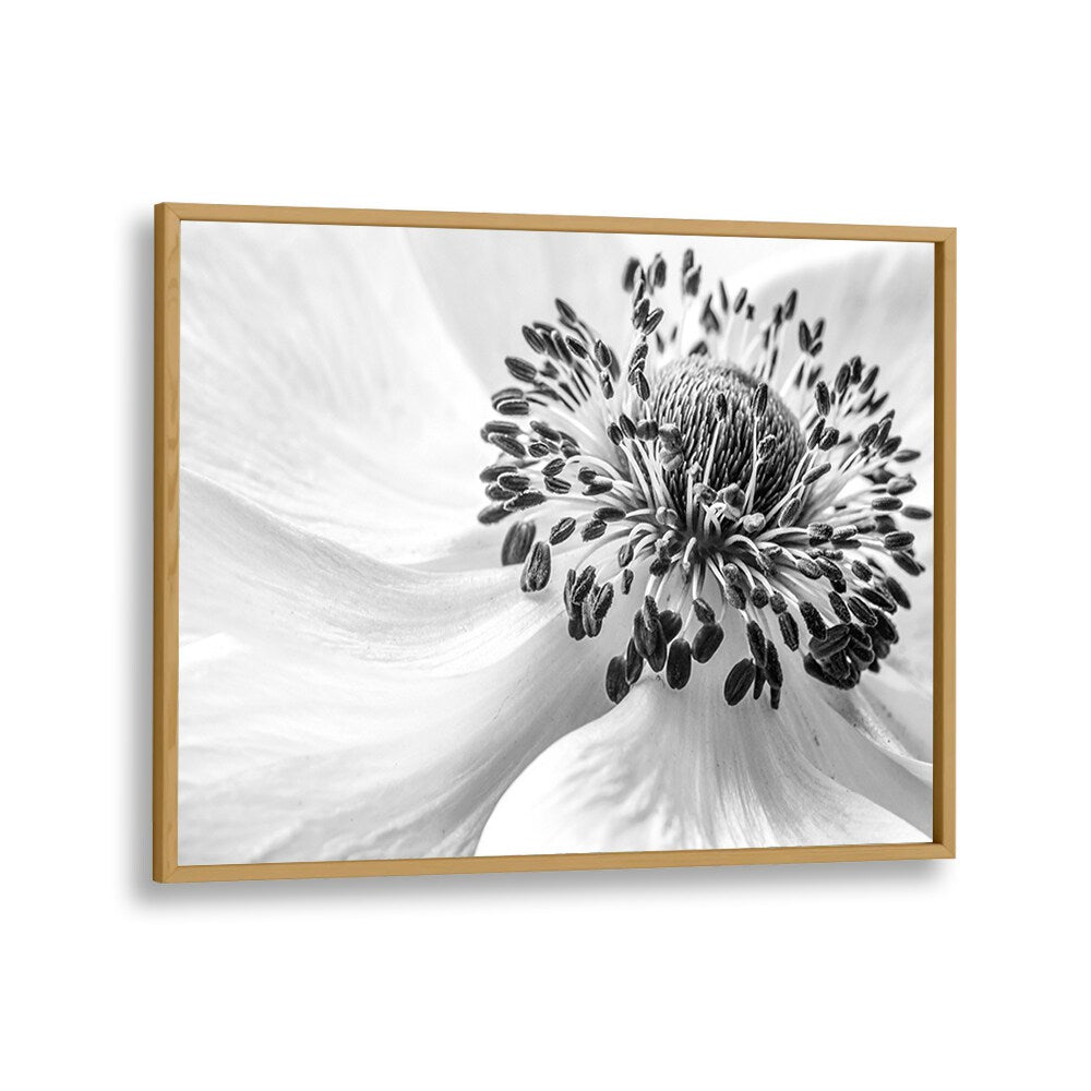 Elegant ANEMONE, FLORAL FLOWER PAINTINGS showcase intricate details, perfect for enhancing any home décor.
