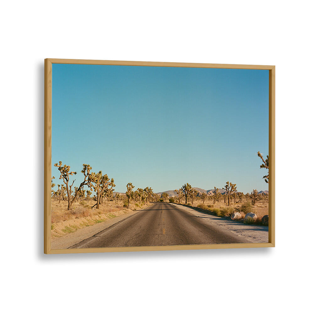 JOSHUA TREE ROAD , PHOTOGRAPHY PRINTS