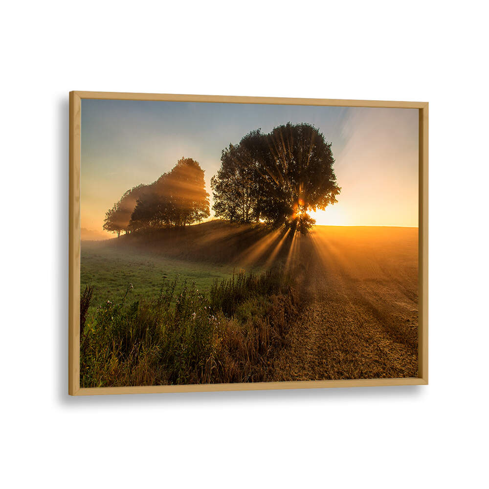 SUNBEAMS , PHOTOGRAPHY PRINTS