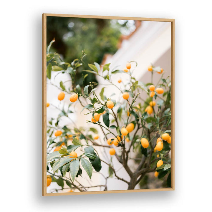 ORANGE CAPRI , PHOTOGRAPHY PRINTS