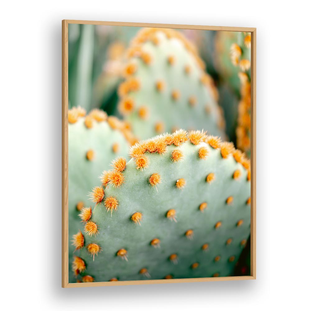 ORANGE AND GREEN II , PHOTOGRAPHY PRINTS