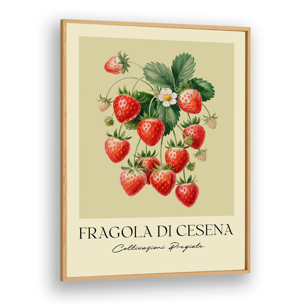 FRAGOLA DI CESENA , FLORAL FLOWER PAINTINGS