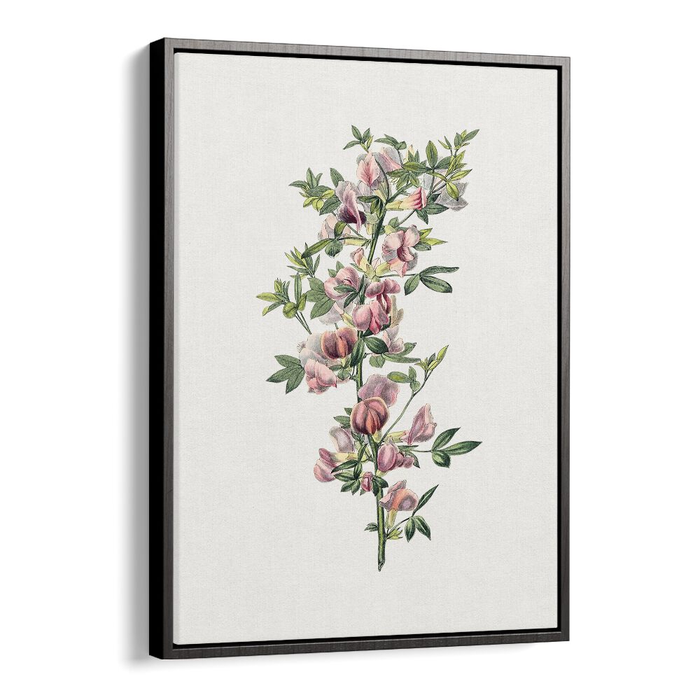 Elegant PINK FLOWER II, FLORAL FLOWER PAINTINGS in a black floater frame, perfect for enhancing your space.