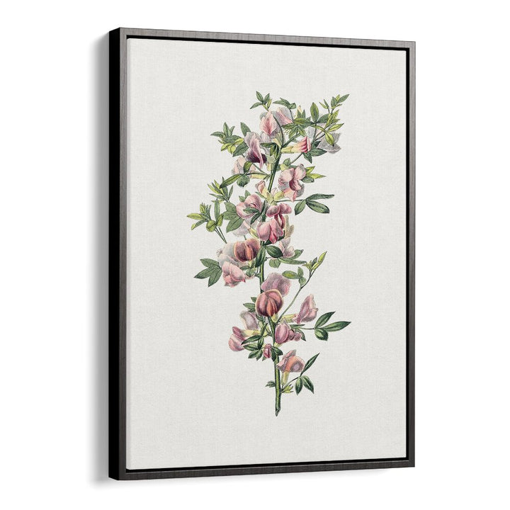 Elegant PINK FLOWER II, FLORAL FLOWER PAINTINGS in a black floater frame, perfect for enhancing your space.