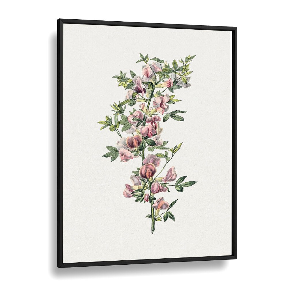 Elegant PINK FLOWER II, FLORAL FLOWER PAINTINGS in a black frame, perfect for adding whimsy to any space.