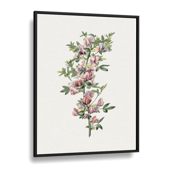 Elegant PINK FLOWER II, FLORAL FLOWER PAINTINGS in a black frame, perfect for adding whimsy to any space.