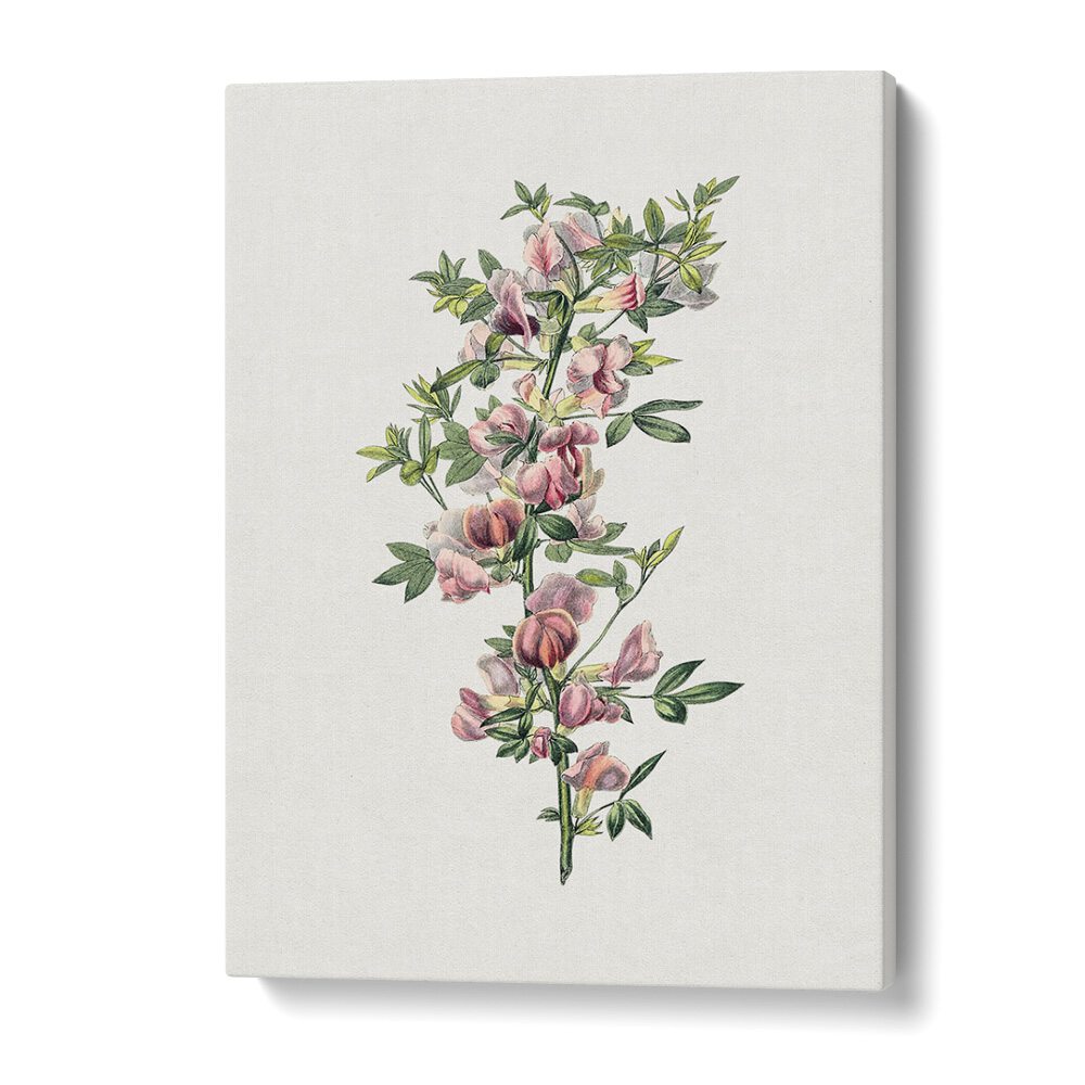 Whimsical PINK FLOWER II, FLORAL FLOWER PAINTINGS bringing elegance to your space with vibrant botanical art.