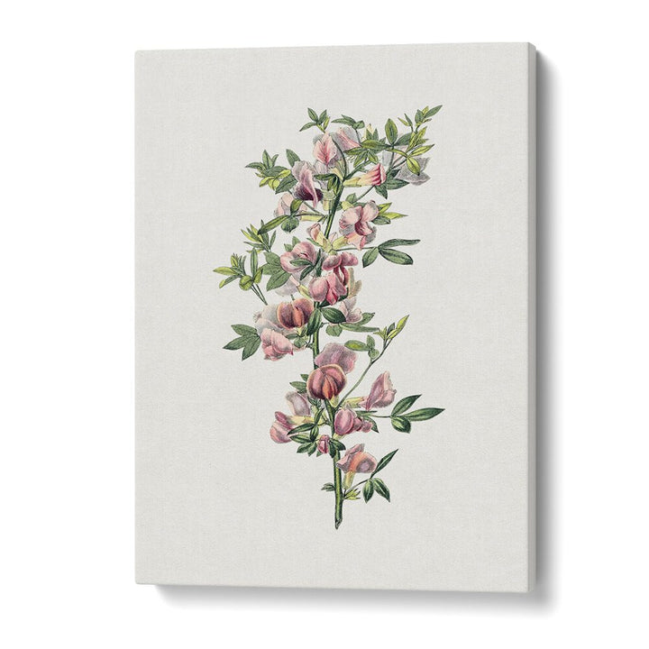 Whimsical PINK FLOWER II, FLORAL FLOWER PAINTINGS bringing elegance to your space with vibrant botanical art.