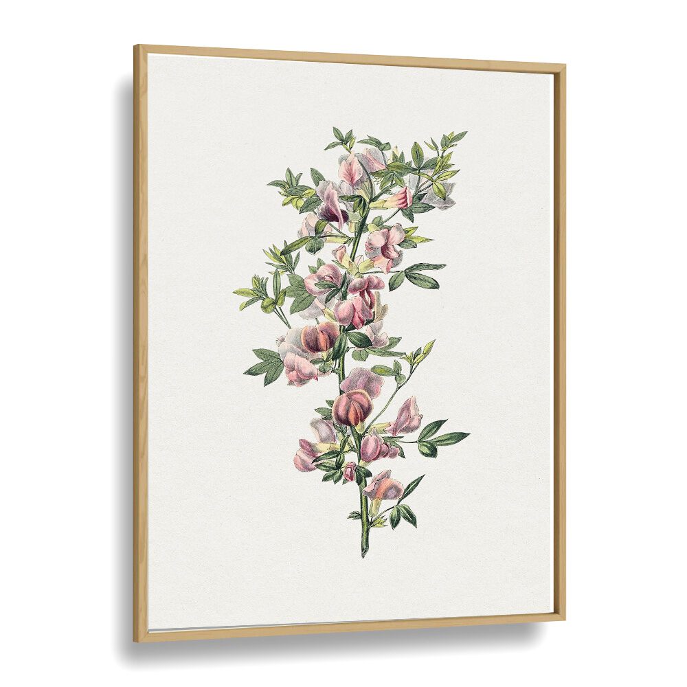 Delicate PINK FLOWER II, FLORAL FLOWER PAINTINGS framed art print, perfect for adding elegance to any space.