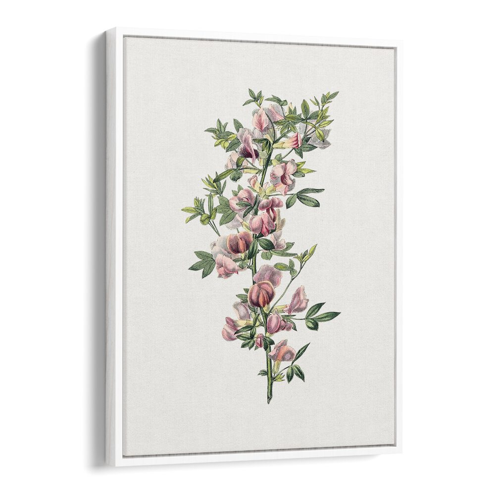 Delicate PINK FLOWER II, FLORAL FLOWER PAINTINGS showcased in a white floater frame, perfect for enhancing your space.