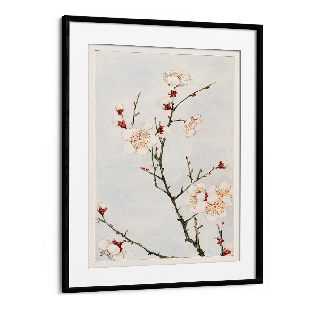 Stunning PLUM BRANCHES WITH BLOSSOMS, JAPANESE PAINTINGS art print, beautifully framed for elegant home decor.