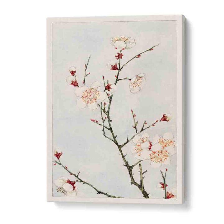 Elegant PLUM BRANCHES WITH BLOSSOMS, JAPANESE PAINTINGS art print, perfect for enhancing your space with beauty.
