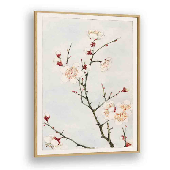 Elegant PLUM BRANCHES WITH BLOSSOMS, JAPANESE PAINTINGS art print, perfect for enhancing your space with Japanese beauty.
