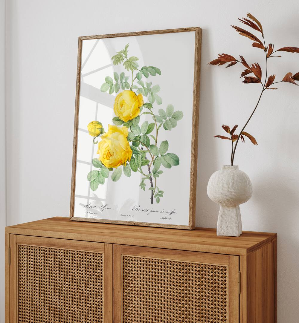 ROSA HEMISPHAERICA, FLORAL FLOWER PAINTINGS showcase stunning vintage art, perfect for transforming your space.