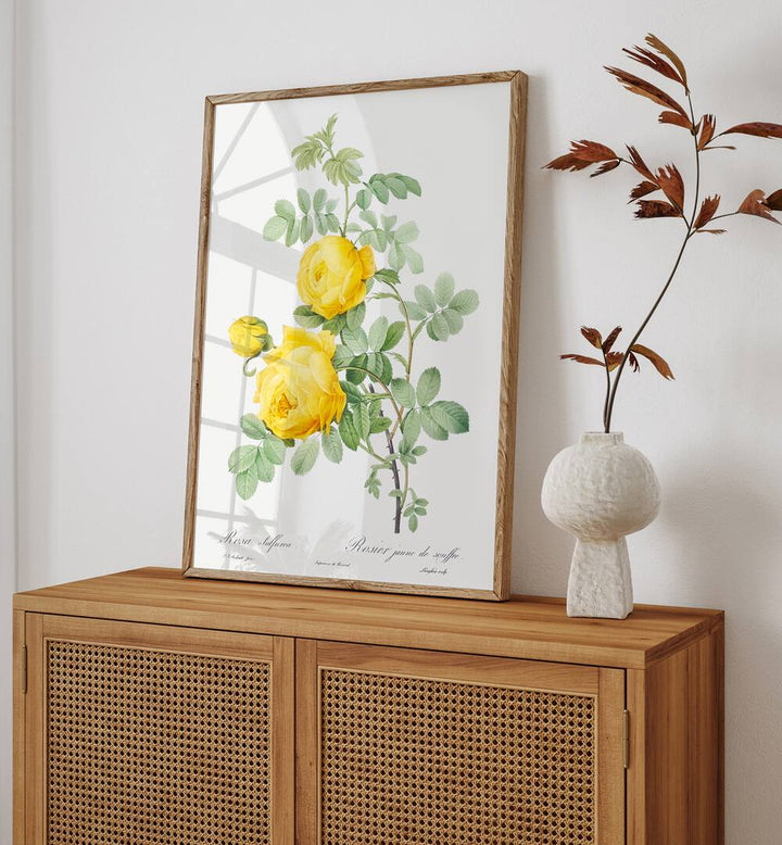 ROSA HEMISPHAERICA, FLORAL FLOWER PAINTINGS showcase stunning vintage art, perfect for transforming your space.