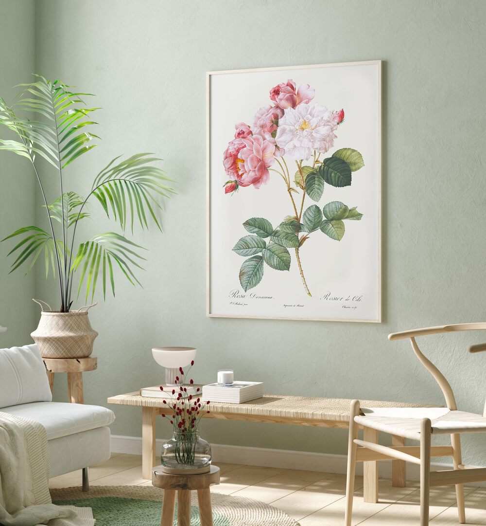 Beautifully framed ROSA x DAMASCENA, FLORAL FLOWER PAINTINGS enhance any space with their timeless rose artistry.