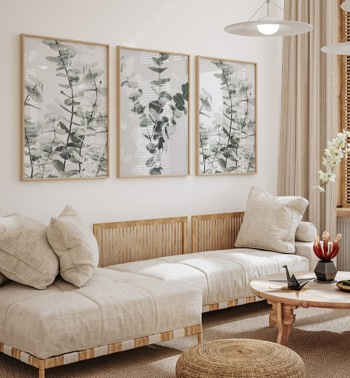 Transform your home with the TRANQUIL EUCALYPTUS SET, SET OF 3 PAINTINGS, showcasing serene eucalyptus leaves.