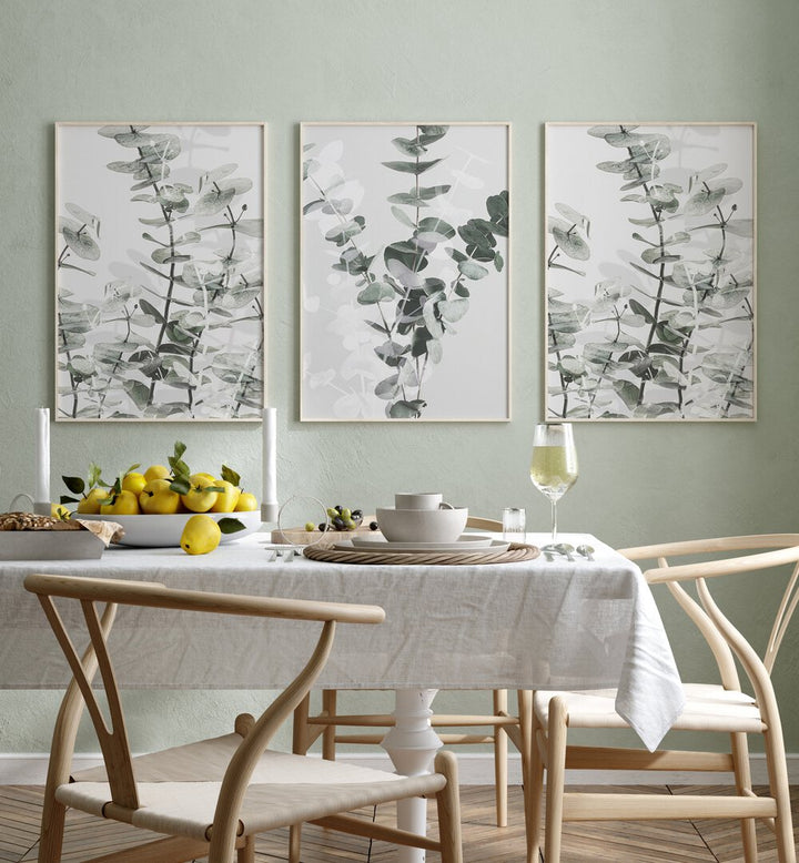 Transform your space with the TRANQUIL EUCALYPTUS SET, SET OF 3 PAINTINGS, featuring elegant eucalyptus designs.