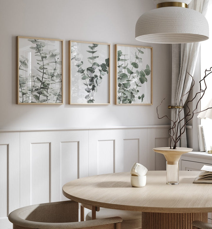 TRANQUIL EUCALYPTUS SET, SET OF 3 PAINTINGS adorning a serene living space with elegant eucalyptus designs.