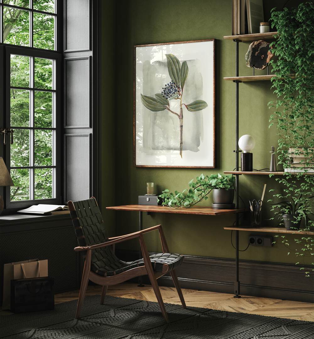 VIBURNUM DAVIDII adds elegance to your garden with glossy leaves and delicate white flowers, perfect for year-round interest.