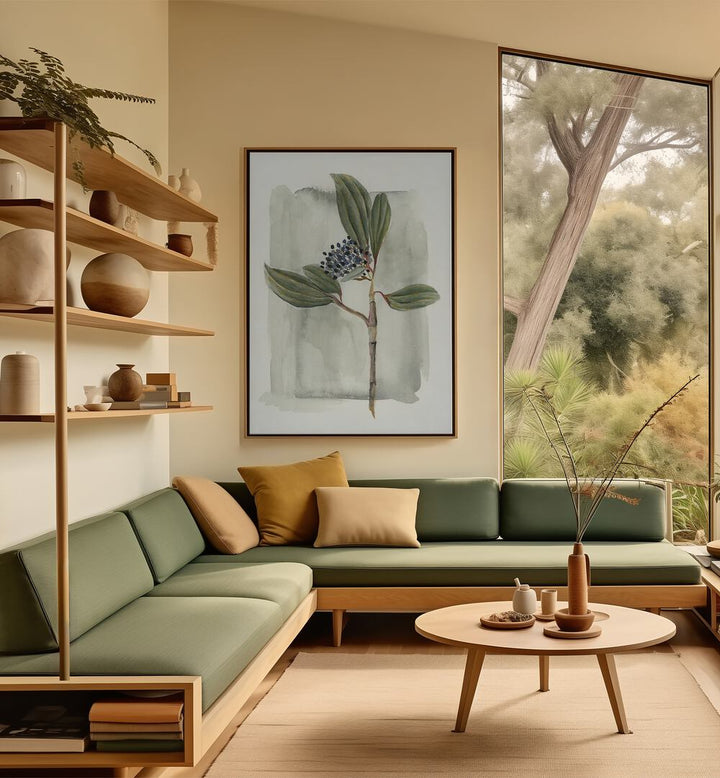 Enhance your garden with VIBURNUM DAVIDII, featuring glossy leaves and delicate white flowers, perfect for year-round beauty.