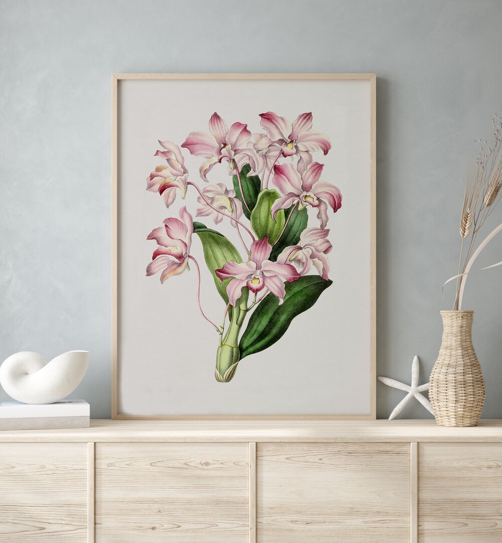 Elegant VINTAGE-DENDROBIUM, FLORAL FLOWER PAINTINGS enhancing serene decor with Asian-inspired artistry.