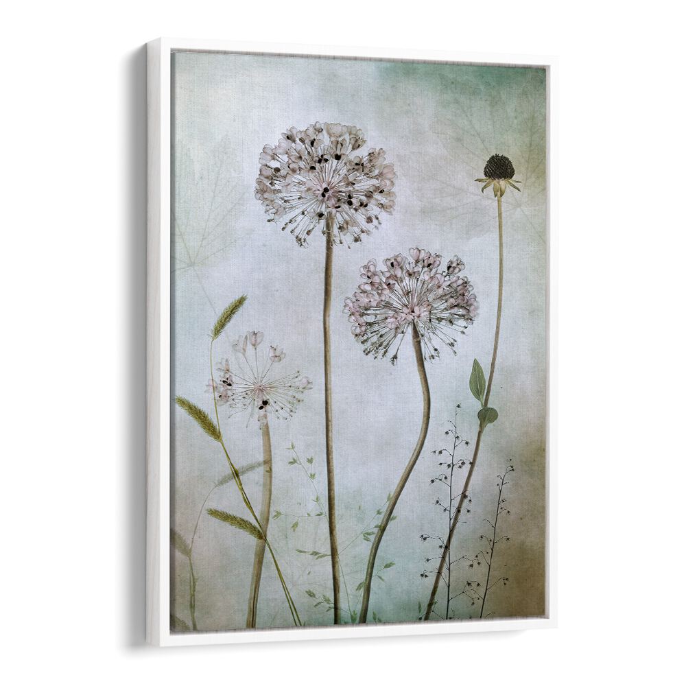 Elegant ALLIUM, FLORAL FLOWER PAINTINGS enhance home decor with their sophisticated charm and artistic allure.