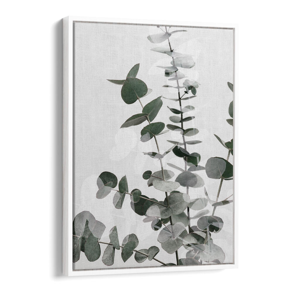 EUCALYPTUS CREATIVE VI, FLORAL FLOWER PAINTINGS showcase elegant eucalyptus leaves, perfect for enhancing any room's decor.