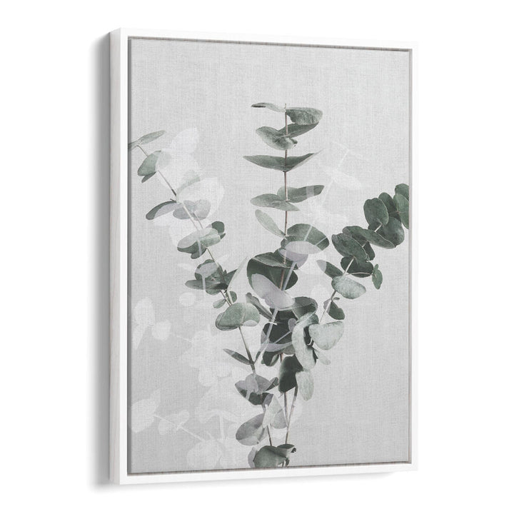 EUCALYPTUS CREATIVE VII, FLORAL FLOWER PAINTINGS showcase elegant eucalyptus branches, perfect for vibrant home decor.