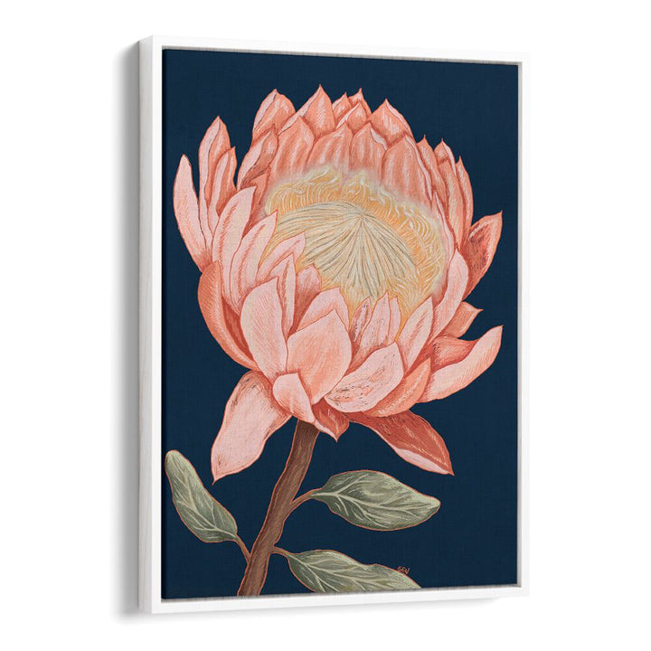 Stunning ECHO OF THE FYNBOS, FLORAL FLOWER PAINTINGS featuring vibrant protea on a deep blue background.