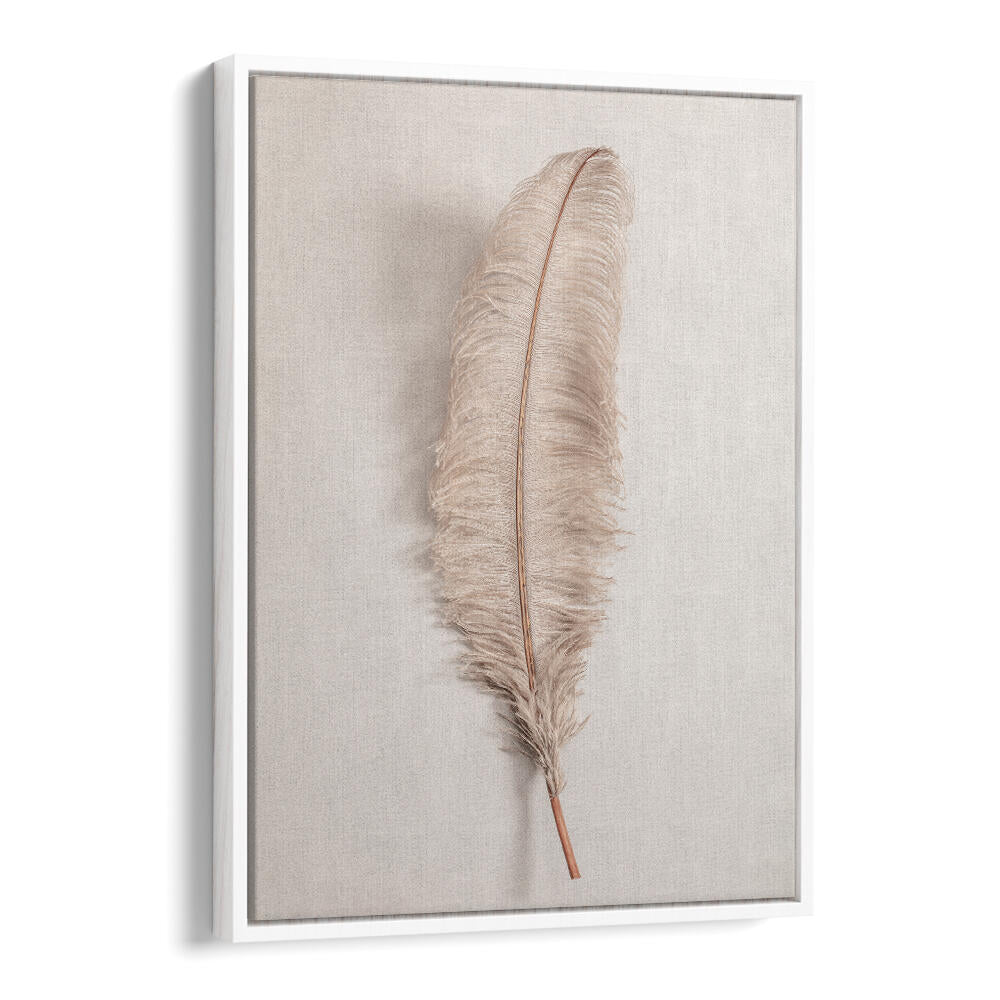 Elegant FEATHER II, BOHO ART PAINTINGS showcase a delicate feather design, perfect for enhancing your home decor.