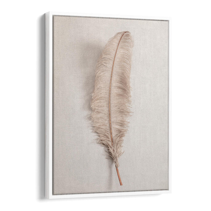 Elegant FEATHER II, BOHO ART PAINTINGS showcase a delicate feather design, perfect for enhancing your home decor.