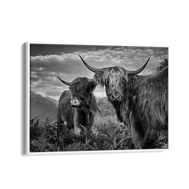 FRIENDS , PHOTOGRAPHY PRINTS